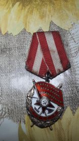 Орден Красного знамени № ордена 392214 приказ 48 армии № 368/к 176 1944 года