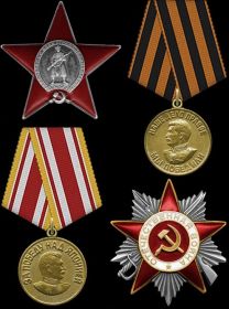 Орден Красной Звезды, Медаль «За победу над Германией в Великой Отечественной войне 1941–1945 гг.», Медаль «За победу над Японией», Орден Отечественной войны II степени
