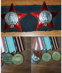 ОРДЕН ЛЕНИНА, 2 ОРДЕНА КРАСНОЙ ЗВЕЗДЫ, ОРДЕН КРАСНОГО ЗНАМЕНИ,  МЕДАЛЬ "ЗА ОБОРОНУ КАВКАЗА", МЕДАЛЬ "ЗА ПОБЕДУ НАД ГЕРМАНИЕЙ В ВЕЛИКОЙ ОТЕЧЕСТВЕННОЙ ВОЙНЕ 1941-1945" И МНОГИЕ ДРУГИЕ