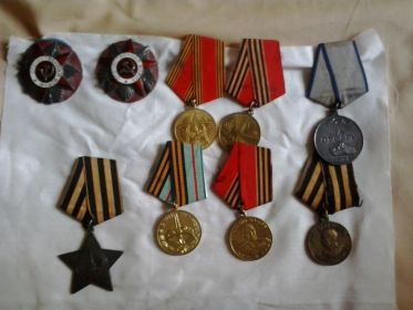 Медаль за отвагу, Орден Славы III степени, Орден Отечественной войны I степени, Медаль «За победу над Германией в Великой Отечественной войне 1941–1945 гг.»