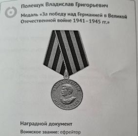 медаль " За победу над Германией в Великой Отечественной войне 1941-1945 гг"