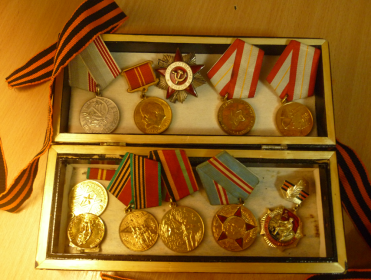 ордена: Красной звезды, Славы 3 степени, Отечественной войны 1 степени и медаль "За отвагу".