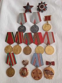 Орден Красной звезды, орден ВОВ, многочисленные медали