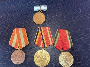 Медаль за доблестный труд в ВОВ