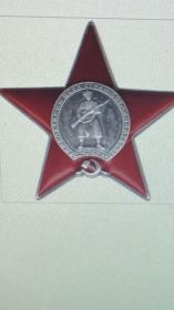медалью "За отвагу" 22.06.1943г медалью "За боевые заслуги" 15.04.1944г орденом Красной Звезды 17.09.1944г