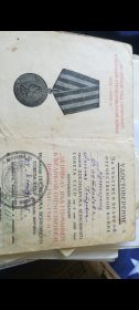 Медаль за победу над Германией