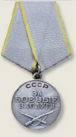 Медаль «За боевые заслуги»