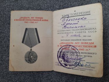 Медаль: " За Победу над Германией"