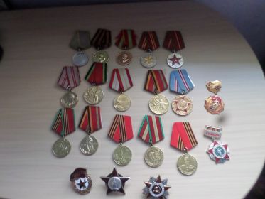 Награжден орденом " Красной Звезды" Медаль «За боевые заслуги» Медаль «За победу над Германией в Великой Отечественной войне 1941-1945 гг.»