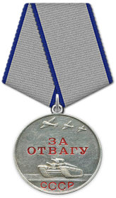 медаль «За Отвагу. За победу над Германией» орден Славы 3 степени