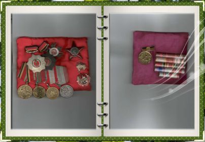 2 ордена красной звезды, 1 красного знамени, медали за освобождение Сталинграда, Прага, Дрездена, медаль за боевые заслуги