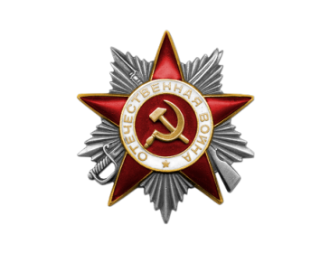 Орден "Красной звезды", Медаль "За Отвагу", Орден "Отечественной войны II степени"