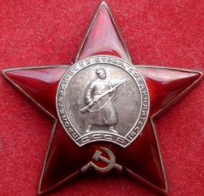Он был награжден орденом Красной Звезды, орденом Отечественной войны I степени, медалями «За взятие Будапешта», «З
