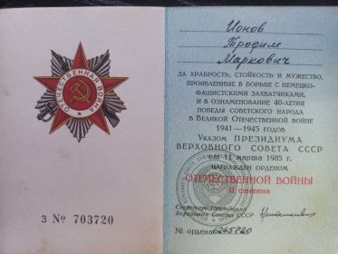 Медаль за победу над Германией, Орден Отечественной Войны 2 степени