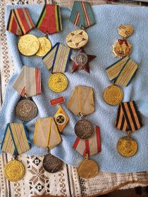 медали "За Оборону Кавказа", медаль " За Победу над Германией" 1941-1945, медали "За боевые заслуги", Орден "Красной Звезды"