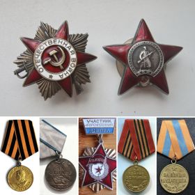 Орден Отечественной Войны,За Отвагу,За Победу над Германией, За Взятие Будапешта, За боевые Заслуги