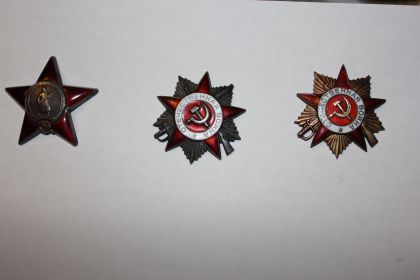Орден Красной Звезды и два ордена Отечественной Войны  I и II степени и семь медалей