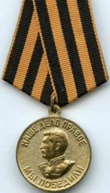 Медаль «За победу над Германией»