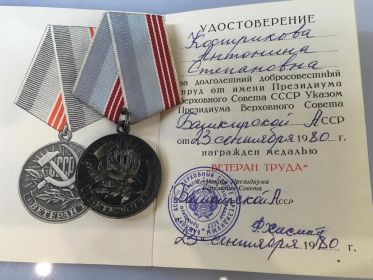 медаль "За победу над Германией".