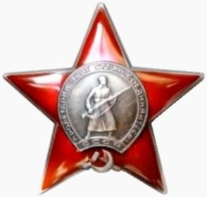медаль за оборону Кавказа, два Ордена Красной Звезды, медаль за взятие Кенигсберга, медаль за взятие Берлина