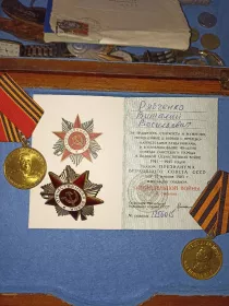 Орден Великой отечественной войны, медаль за освобождение Чехословакии, медаль Жукова, медаль за победу над Германией, памятные медали
