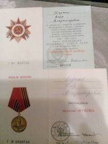 Медаль «За победу над Германией»; Медаль «За боевые заслуги»; Медаль Жукова; Орден Отечественной войны 1 степени
