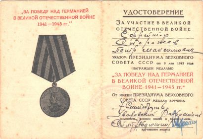 значок "Отличник ПВО", «За боевые заслуги», «За победу над Германией в Великой Отечественной войне 1941 – 1945 гг.»,  «За победу над Японией».