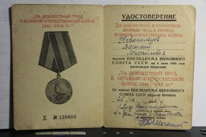 За доблестный труд в Великой Отечественной войне 1941-1945 г.г.