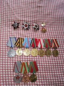Орден Красной звезды, орден Отечественной войны II степени, медаль За отвагу, медаль За победу над Германией