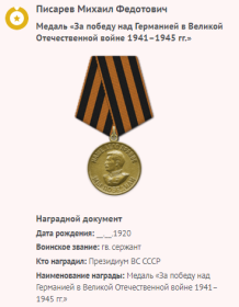 Медаль «За победу над Германией в Великой Отечественной войне 1941-1945 гг.»