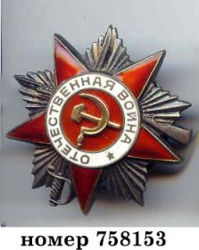 Орденом Отечественной войны II степени, номер ордена 758153. Орден Красной звезды 3138769, медаль над победой над Японией,