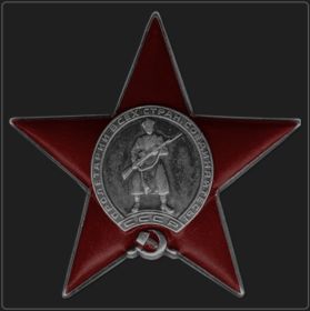 Орден"Красная Звезда", Орден "Отечественная Война IIст"