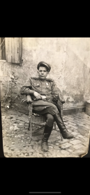 орден победы,орден красной звезды,за отвагу и другие