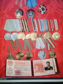 Орден Отечественно войны II степени