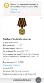 Медаль «За победу над Германией в Великой Отечественной войне 1941–1945 гг.»