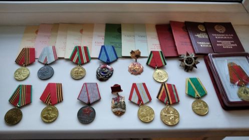 Награжден орденом Отечественной войны 2 степени, медалями "Маршала СС​ ГК​ Жукова", "За отвагу", юбилейными медалями.