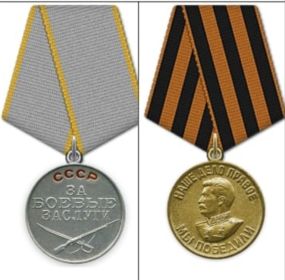 Медали За боевые заслуги,  за победу над Германией