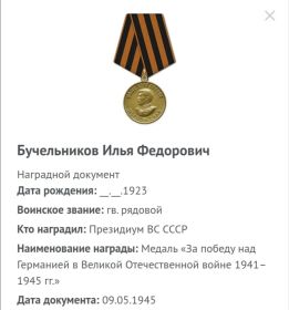Медаль «За победу над Германией 1941-1945»