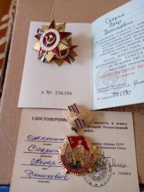 Орден Отечественной Войны  1 степени ; Медаль за  Доблесть и Отвагу в Великой Отечественной войне