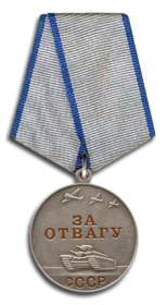 медаль "За отвагу", орден "Отечественная война" 2 степень