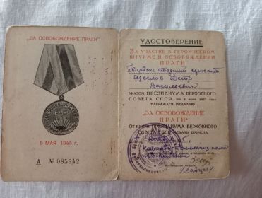 Медаль "За победу над Германией"