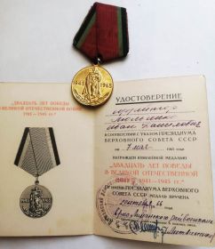 20 лет