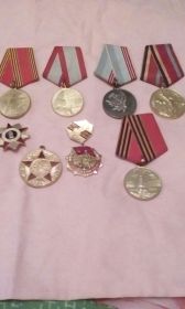 медали "За победу над Германией в ВОВ 1941-1945 г.г." "За победу над Японией"
