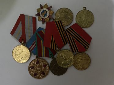 «Ветеран труда» выдана 29.03.1983 г.  Медаль «Сорок лет победы в ВОВ» выдана 30.04.1985 г.  Медаль «70 лет вооруженных сил СССР» выдана 11.08.1988 г. и многие другие.