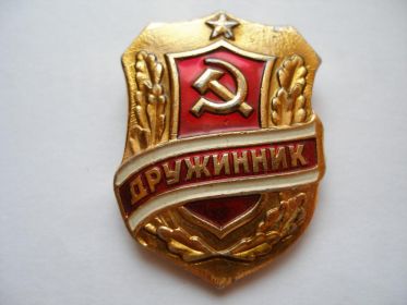 Знак "Дружинник"