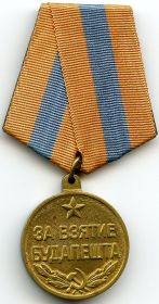 Орден Отечественной войны II степени , Медаль «За взятие Будапешта», Медаль «За победу над Германией в Великой Отечественной войне 1941–1945 гг.»