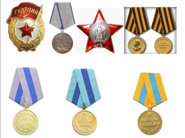 Знак Гвардии, Орден Красной Звезды, Медали:«За отвагу», «За освобождение Праги», «За взятие Будапешта», «За победу над Германией в Великой Отечественной войне 1941–1945 гг.»