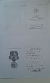 юбилейная медаль