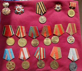 15 юбилейных медалей