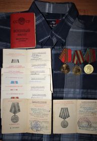 орденом Отечественной войны I степени, медалями «За взятие Будапешта»,  «За боевые заслуги», «За победу над Германией в ВОВ»